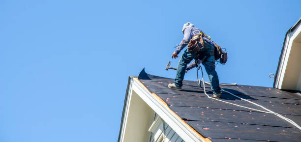 Best Roof Gutter Cleaning  in New Market, AL